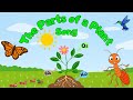 The Parts Of A Plant Song Plant Parts Song For Kids Silly School Songs