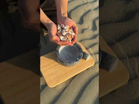 Restoration of broken shells #homemade #diy