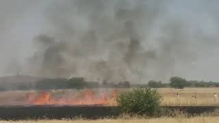 Bareli Madhya pRadesh M harbester K karan Lagii Aag Lakho