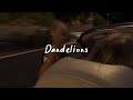 Dandelions Slowed Reverb Lyrics