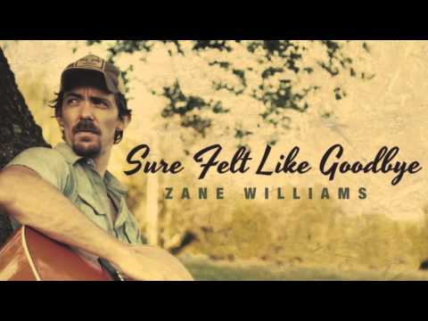 Zane Williams - Sure Felt Like Goodbye
