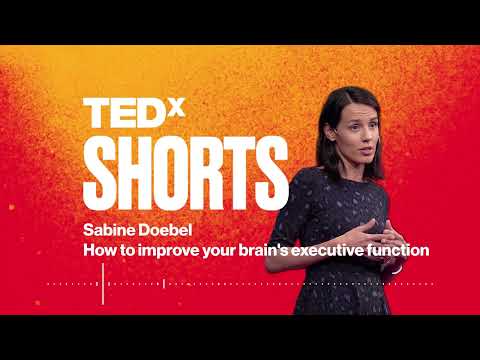 How to improve your brain's executive function