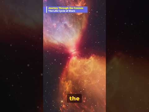 Journey Through the Cosmos - The Life Cycle of Stars