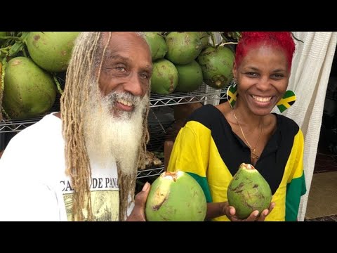 JAMAICAN In PANAMA - DAY 1 | Montego Bay to Panama City | Meeting Dr. Aris LaTham in person!