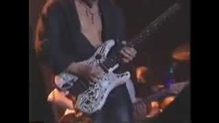 Warren Cuccurullo  Transylvania Boogie  Gibson's Night of 100 Guitars