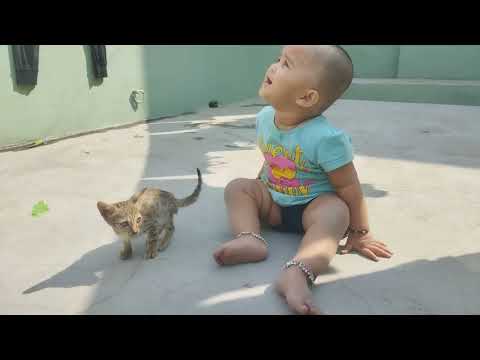 Anvi playing with cat 🐱baby
