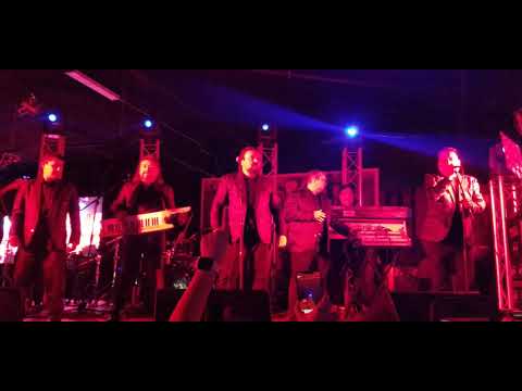 El Pega Pega - El Ronquidito