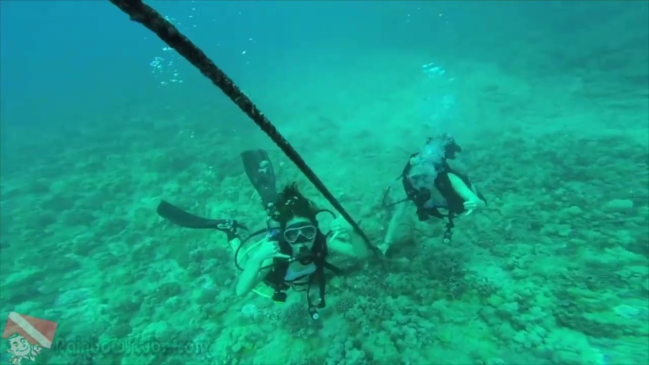 First‑time scuba divers descend at Horseshoe Reef, Honolulu, Oahu