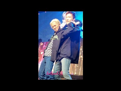 190124 (Encore Stage: Really, Really+ Everyday+goodbyes) WINNER Everywhere Tour Chicago