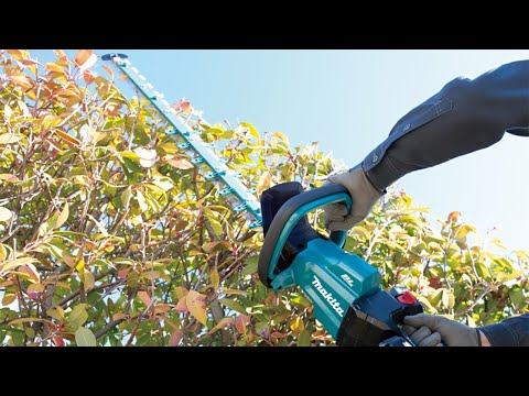 Миниатюра изображения товара Кусторез аккумуляторный Makita DUH602Z