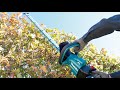 18V Brushless Hedge Trimmer 600mm - DUH602