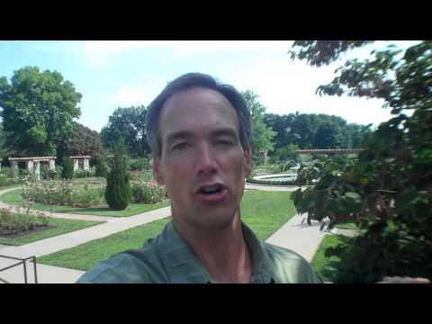Craigslist Ri Realty