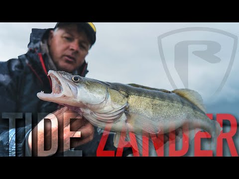 Mit diesen Tipps fängst du Zander im TIDE-FLUSS | Zanderangeln