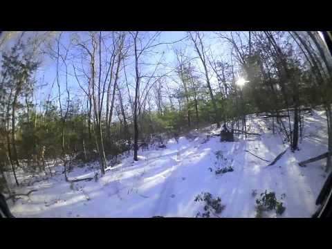 fat bikes in Leominster state forest