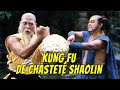 Wu Tang Collection Kung Fu De Chasteté Shaolin Shaolin Chastity Kung Fu
