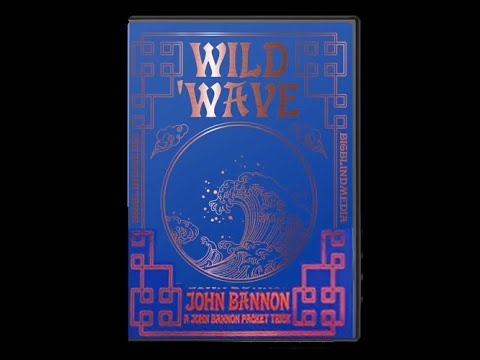 Voir la vidéo The Wild Wave - John Bannon