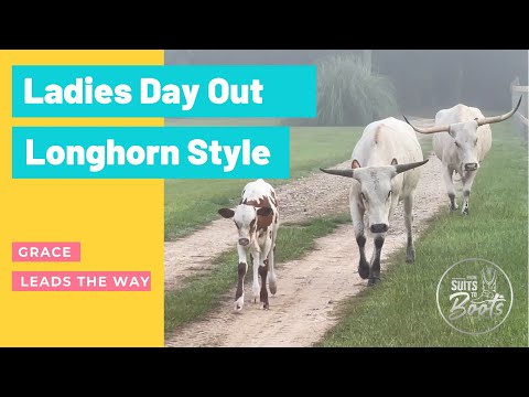 Ladies Day Out