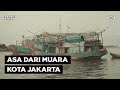 MUARA ANGKE BETWEEN THE BUSTLE OF FISHERMEN AND THE SHADOW OF POVERTY PULSE OF THE CITY EPS 4