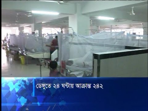 ডেঙ্গুতে ২৪ ঘন্টায় আক্রান্ত ২৪২