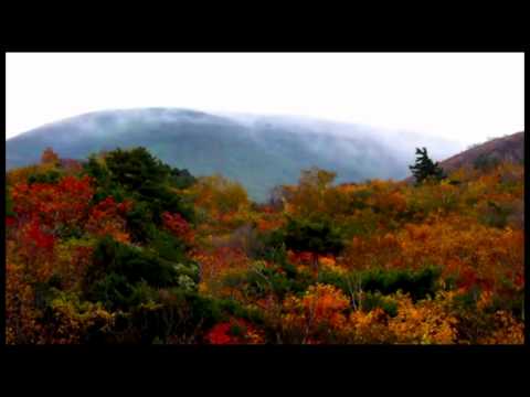 Colaj Bogdan Curta Cele mai reusite inregistrari(1/2)