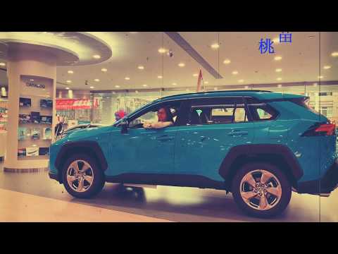 Toyota汽車桃園所蔡淑敏-2020TOYOTA桃苗汽車大使票選活動