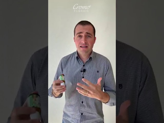 video apresentando a marca Cromoflorais 