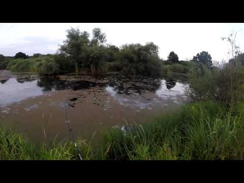 JENZI 2015 - Topwaterfishing mit Froschködern im Kraut