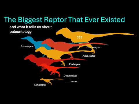The Biggest Raptor That Ever Existed