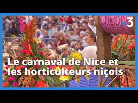 Carnaval de Nice 2023 : les producteurs de fleurs locaux écartés des festivités