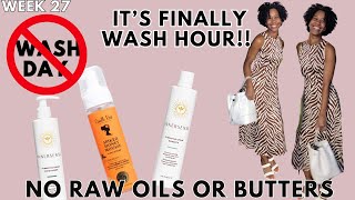 Natural Hair Detox: Week 27 of No Raw Butters & Oils | ONE HOUR WASH DAY!! | Gabrielle Ishell