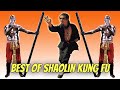 Wu Tang Collection Best Of Shaolin Kung Fu Subtitulado En ESPAÑOL