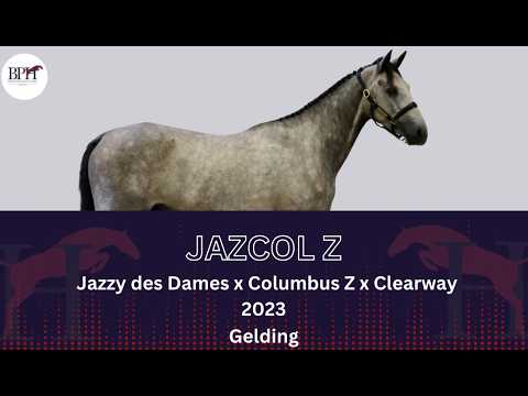 Jazcol Z