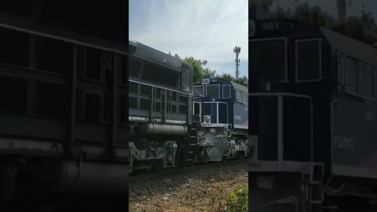 Dupla ES43BBI #642 #651