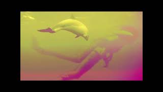 THE MONKEES - PORPOISE SONG MUSIC VIDEO