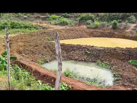 ENGENHO BÁLSAMO DA LINHA JAQUEIRA PERNAMBUCO CASSIANO OFICIAL 8141