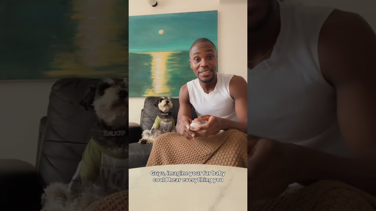 POV: your dog actually says “yes”