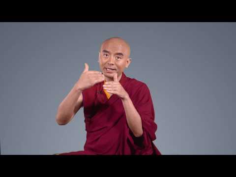 Bardo und die Natur des Geistes, Mit Mingyur Rinpoche (dt. Untertitel)