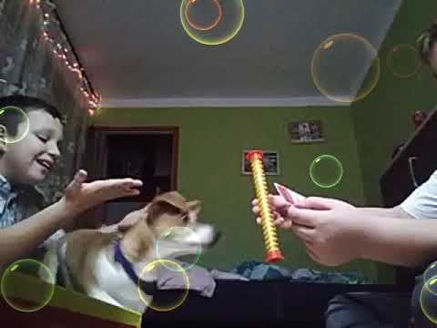 Testujemy grę 5 sekund junior /testujemy gry #1