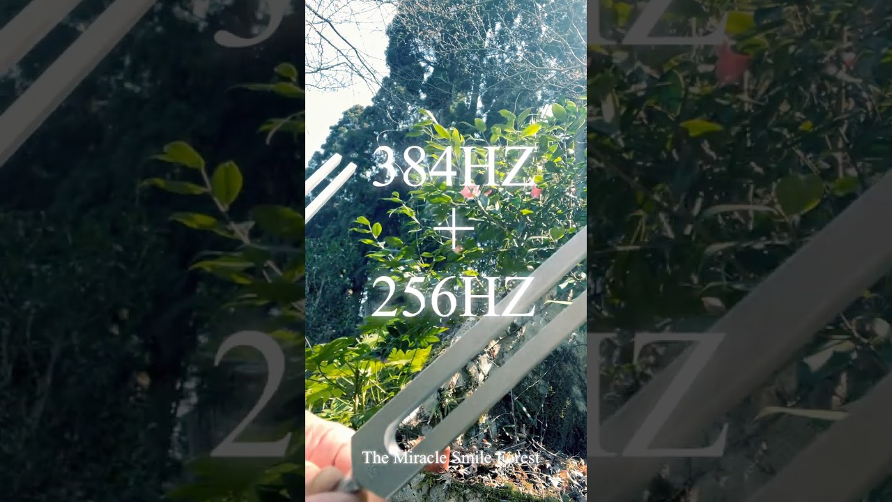 【一瞬で自律神経が整う】256HZ&384HZ周波数調整|Powerful calm￼
