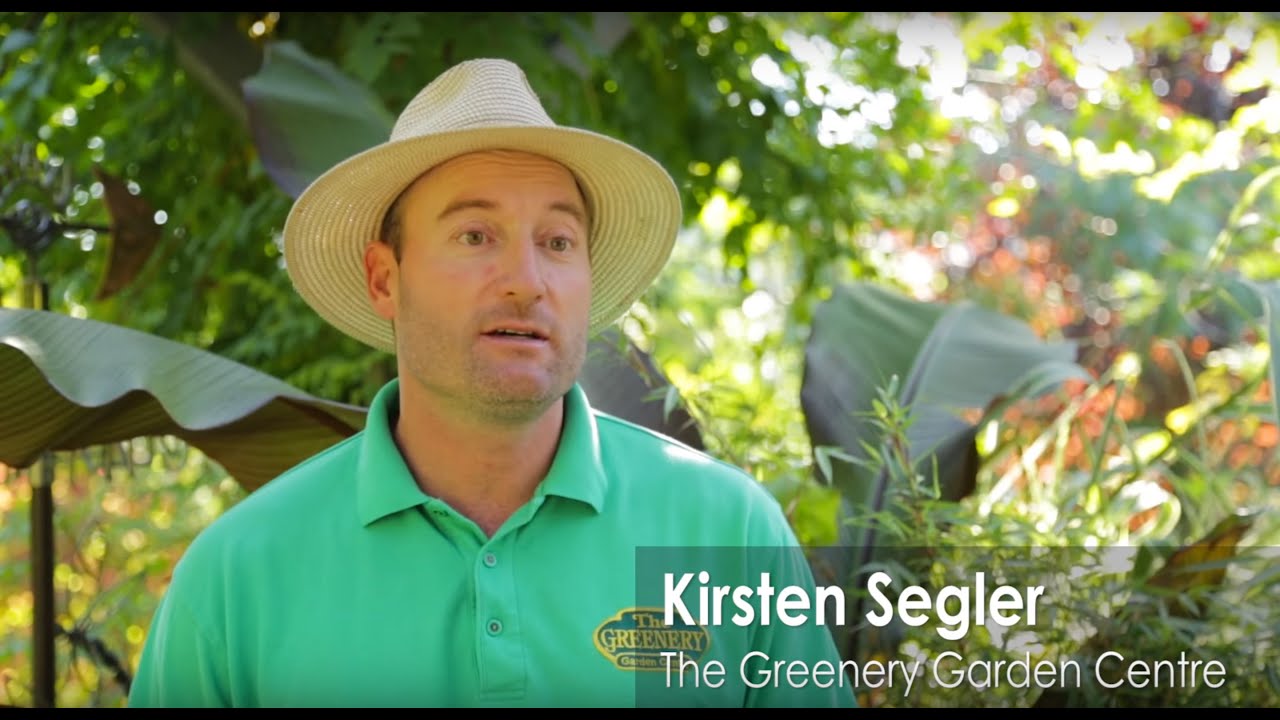 From Twin Creek Media's YouTube Channel