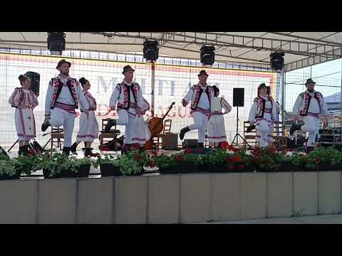 Ansamblu Mureșana din Fântânele  - Zilele satului  Andrei Saguna