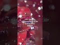 Minnal Oru Kodi Shorts
