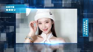 [閒聊] 當前AI接入比較成功的作品？