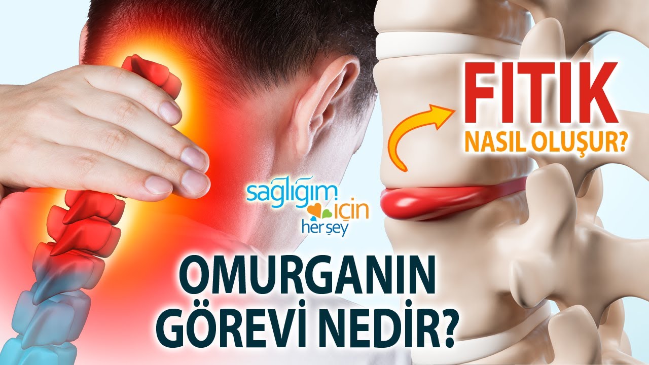 Omurganın Görevi Nedir? Fıtık Nasıl Oluşur?