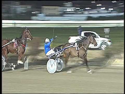 Trotto 20/01/2017 - 5ª corsa