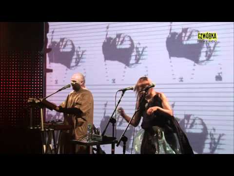 Skinny Patrini - Switch off (czwórka live)