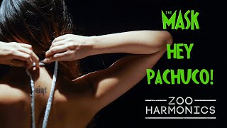 Zoo Harmonics - Hey Pachuco (The Mask Cover)
