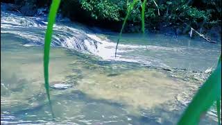 Why Waterfall White Noise is BETTER Than Fan Noise For Sleep