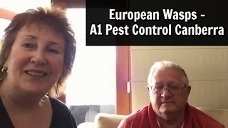 3 Best Pest Control Companies in Canberra, ACT - Expert ...
