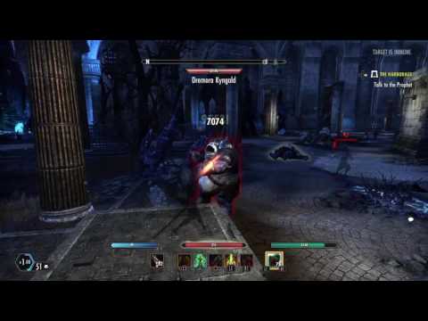 ESO 20k Incap? Stamblade Gank Build
